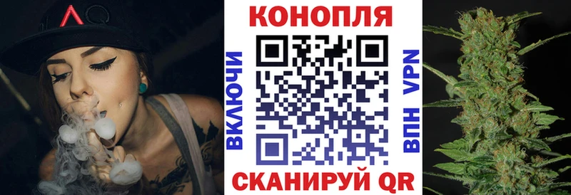 Купить  Видное  Шишки марихуана OG Kush 